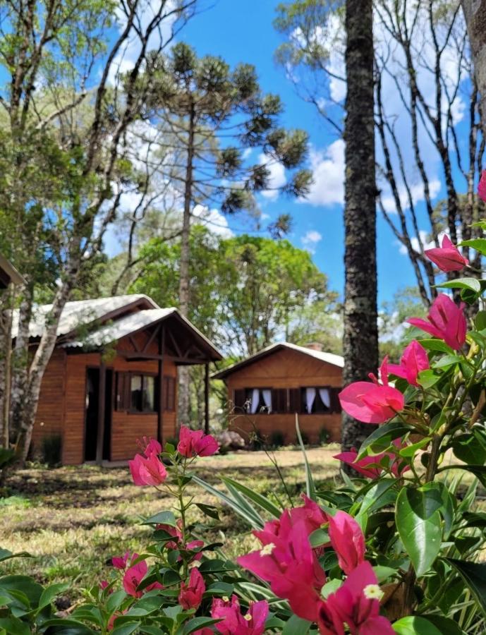 Cabanas Dos Pinheiros เซาฟรานซิสโก จิ เปาลา ภายนอก รูปภาพ