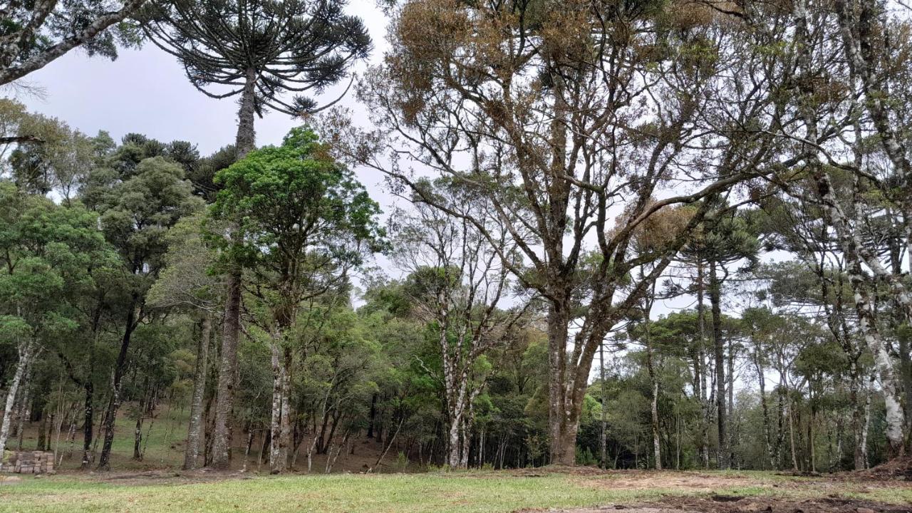 Cabanas Dos Pinheiros เซาฟรานซิสโก จิ เปาลา ภายนอก รูปภาพ