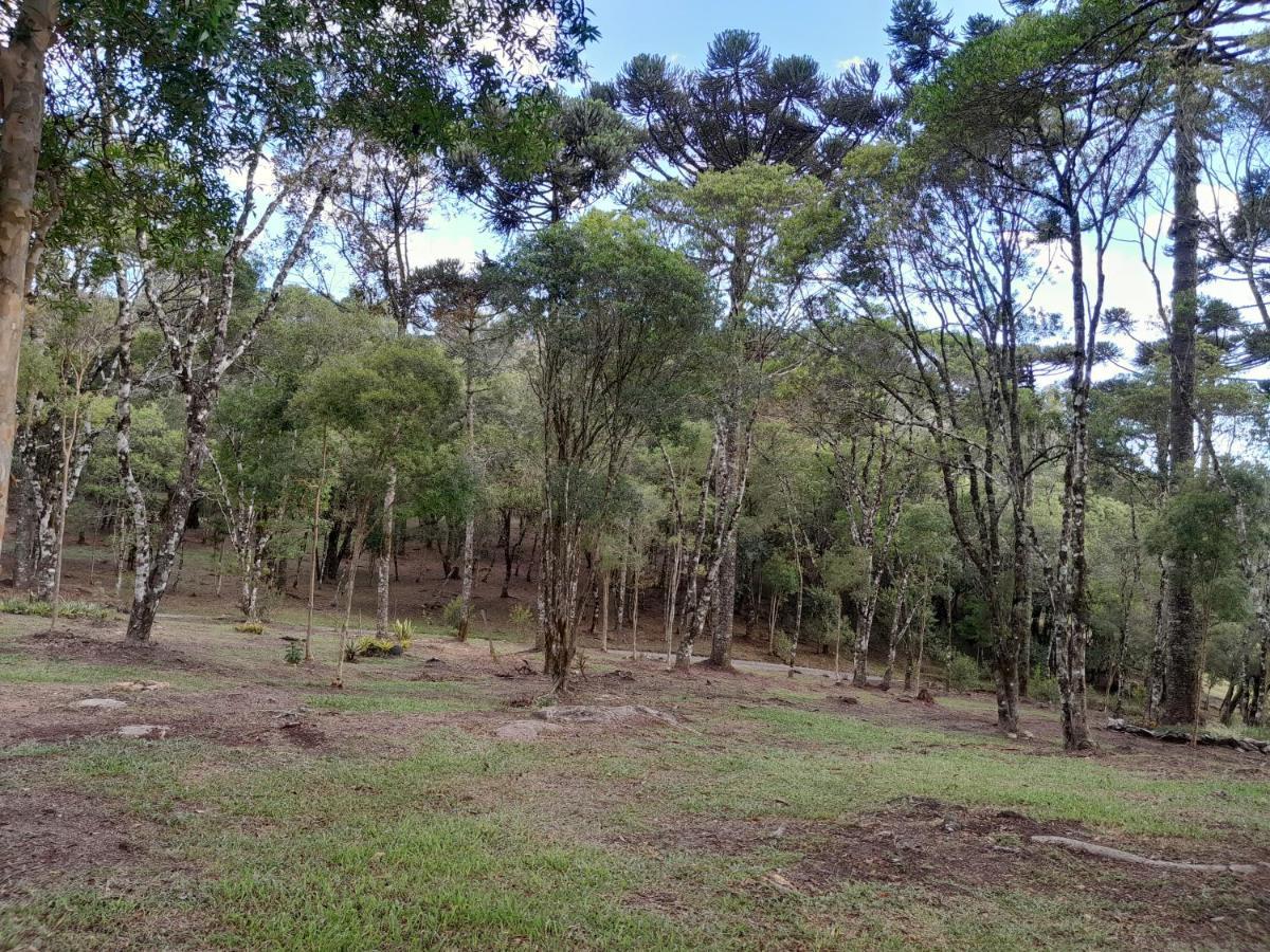Cabanas Dos Pinheiros เซาฟรานซิสโก จิ เปาลา ภายนอก รูปภาพ
