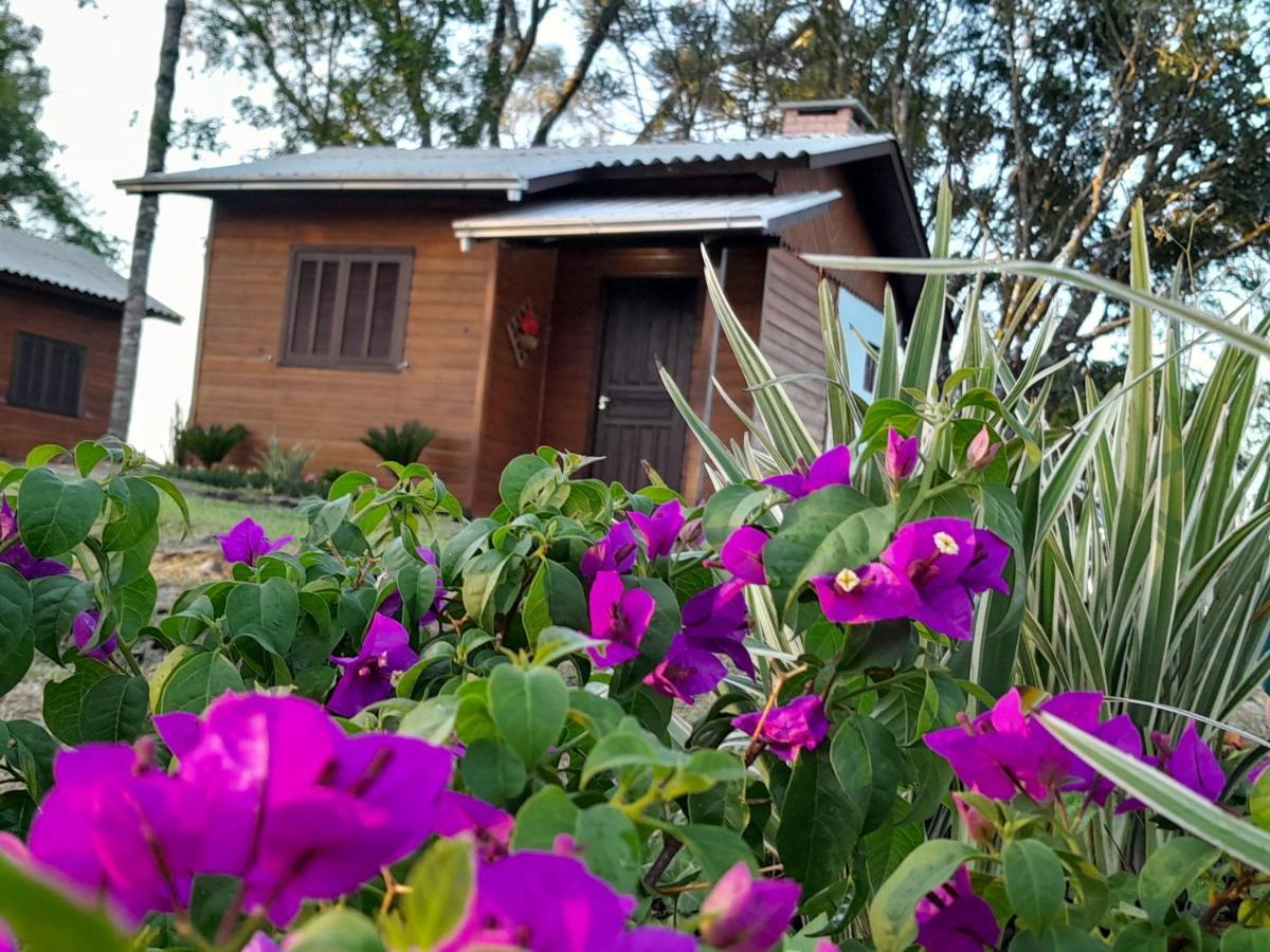 Cabanas Dos Pinheiros เซาฟรานซิสโก จิ เปาลา ภายนอก รูปภาพ