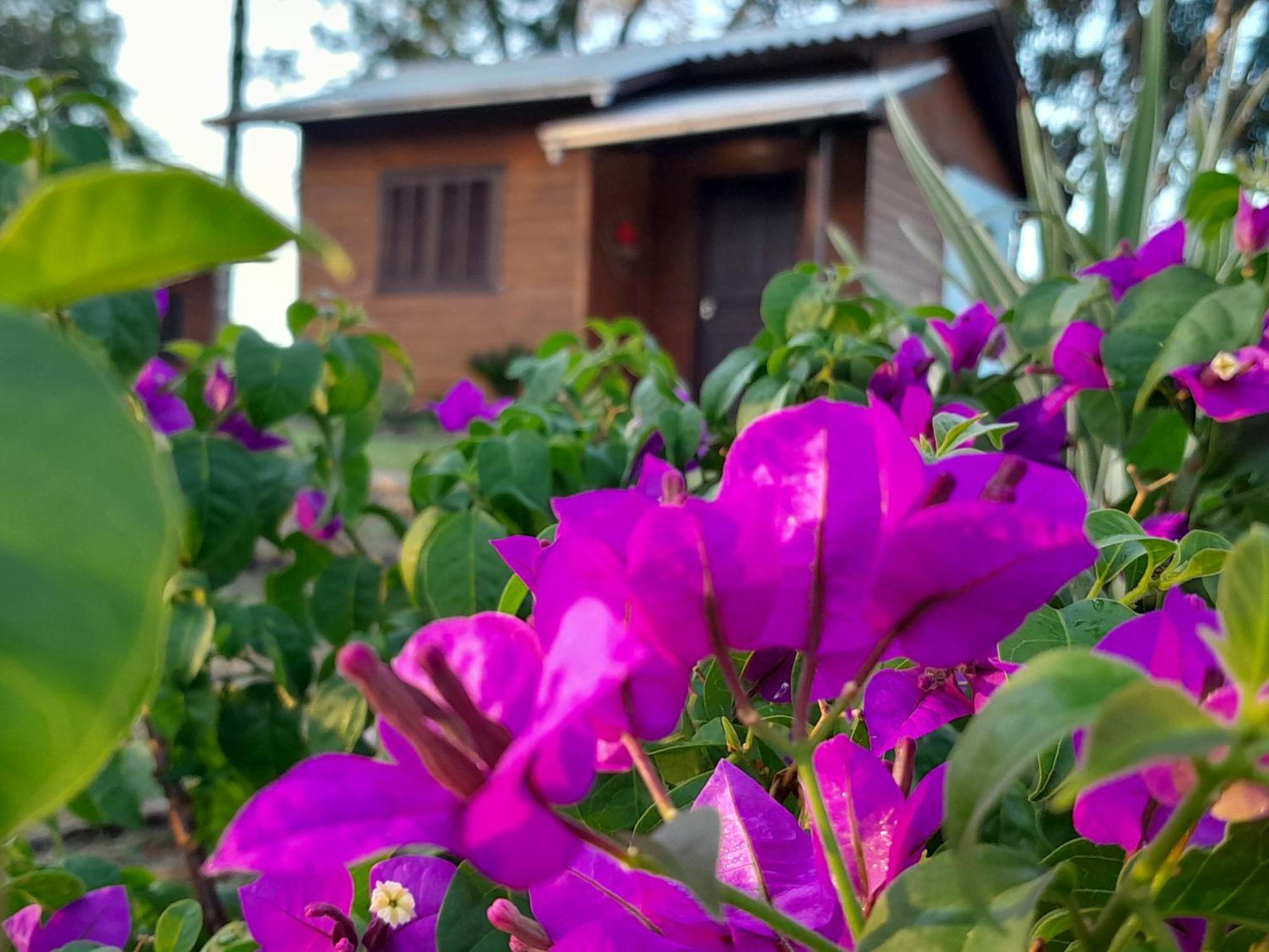 Cabanas Dos Pinheiros เซาฟรานซิสโก จิ เปาลา ห้อง รูปภาพ