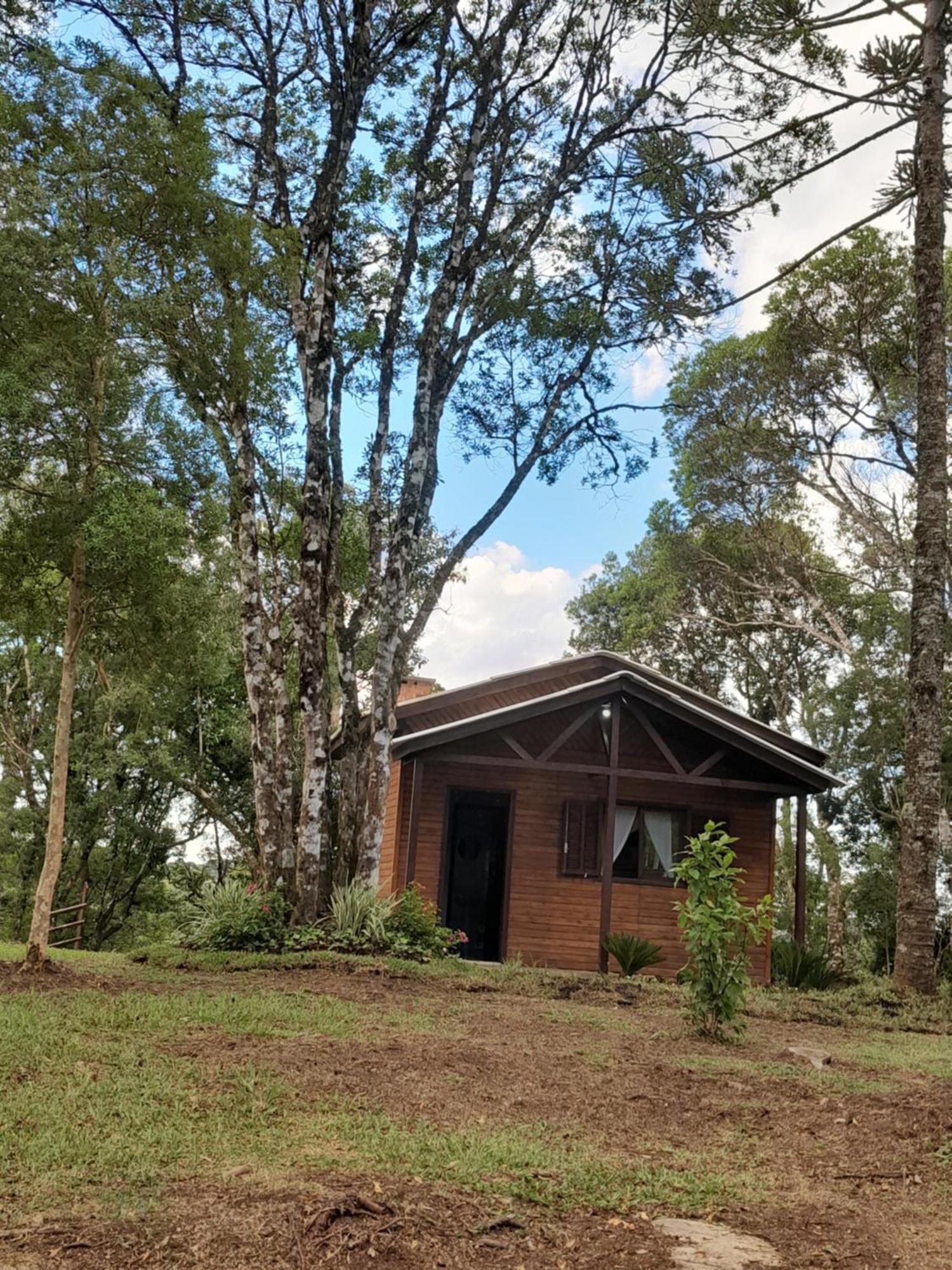 Cabanas Dos Pinheiros เซาฟรานซิสโก จิ เปาลา ห้อง รูปภาพ