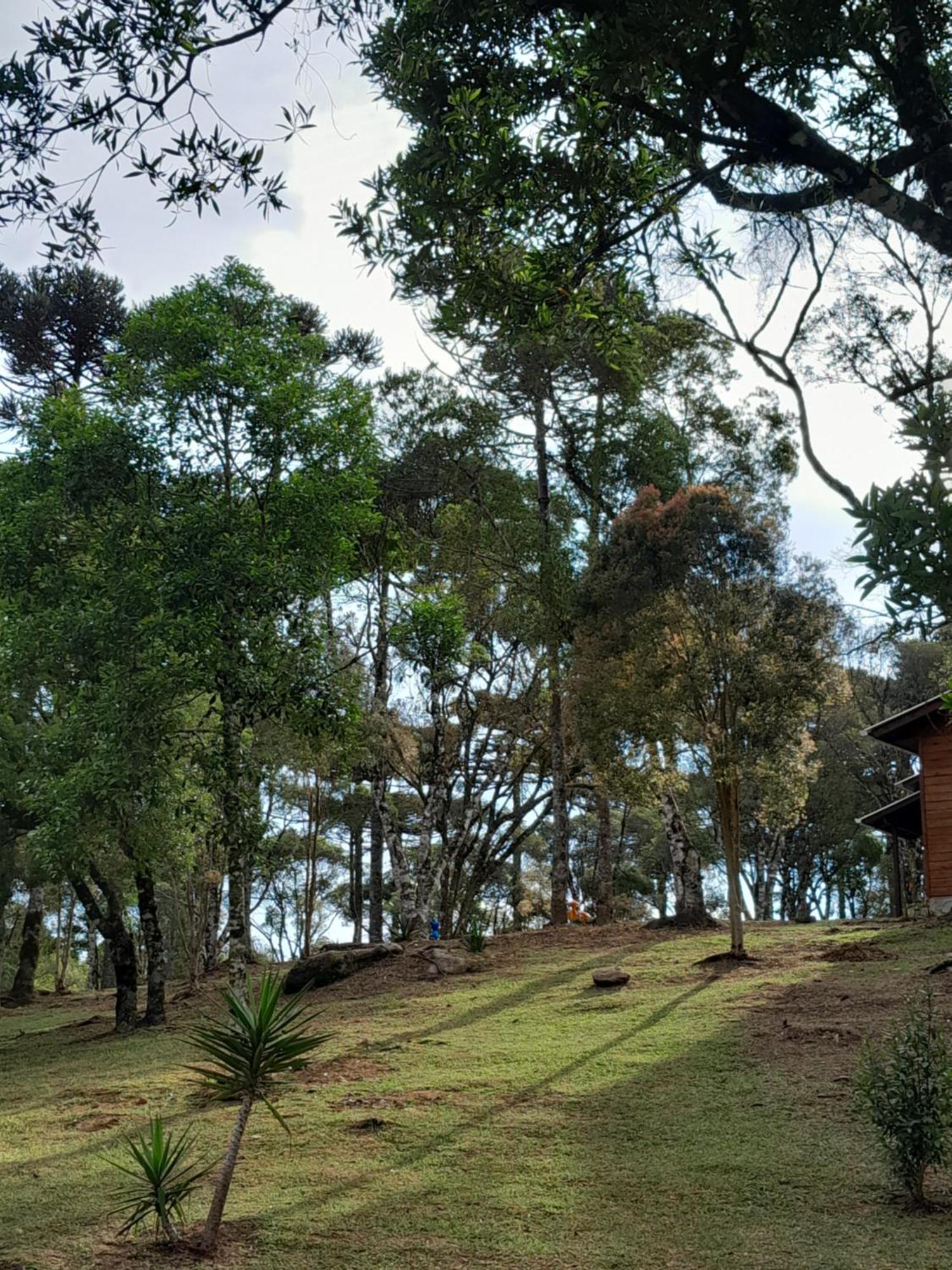 Cabanas Dos Pinheiros เซาฟรานซิสโก จิ เปาลา ห้อง รูปภาพ