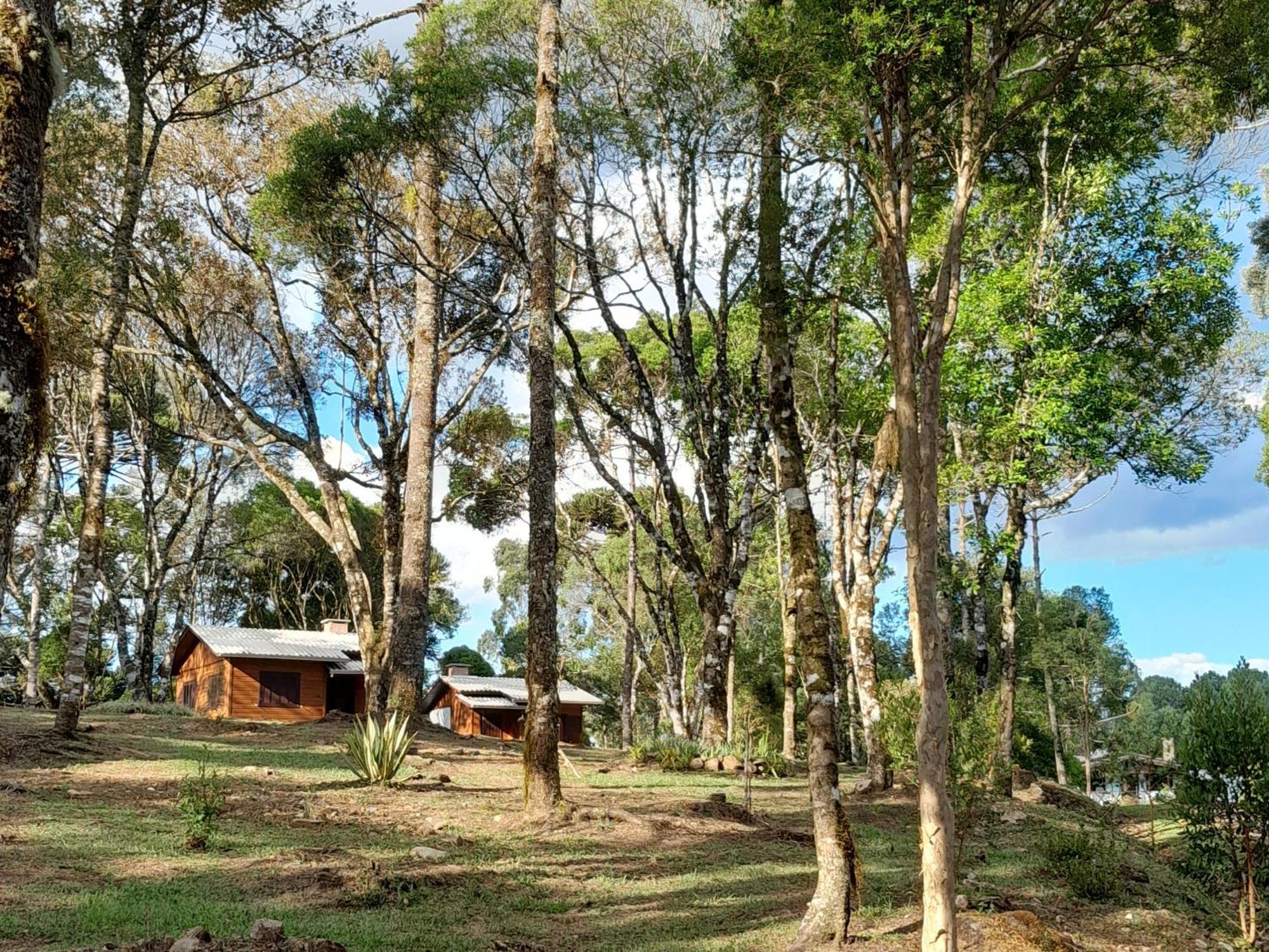 Cabanas Dos Pinheiros เซาฟรานซิสโก จิ เปาลา ห้อง รูปภาพ