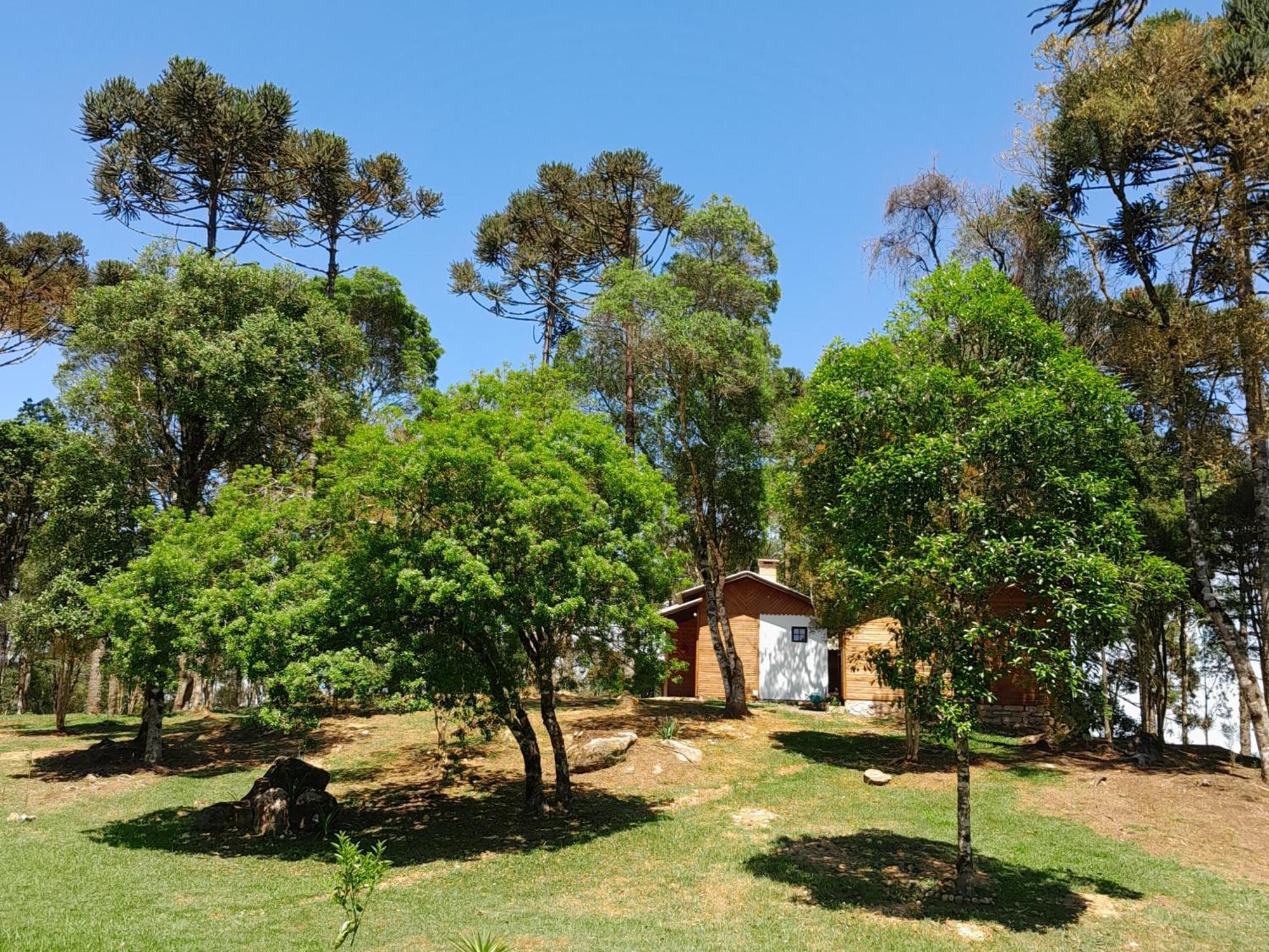 Cabanas Dos Pinheiros เซาฟรานซิสโก จิ เปาลา ห้อง รูปภาพ