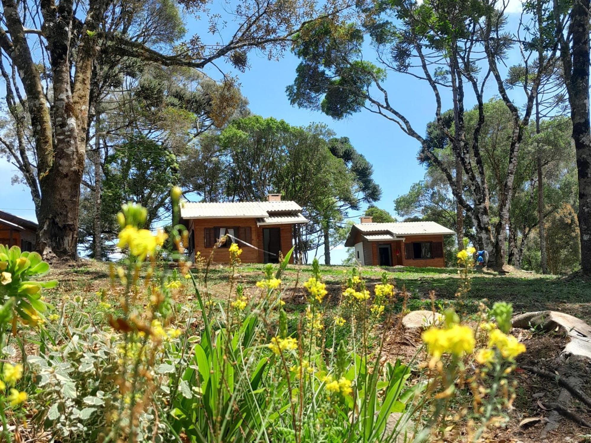 Cabanas Dos Pinheiros เซาฟรานซิสโก จิ เปาลา ห้อง รูปภาพ