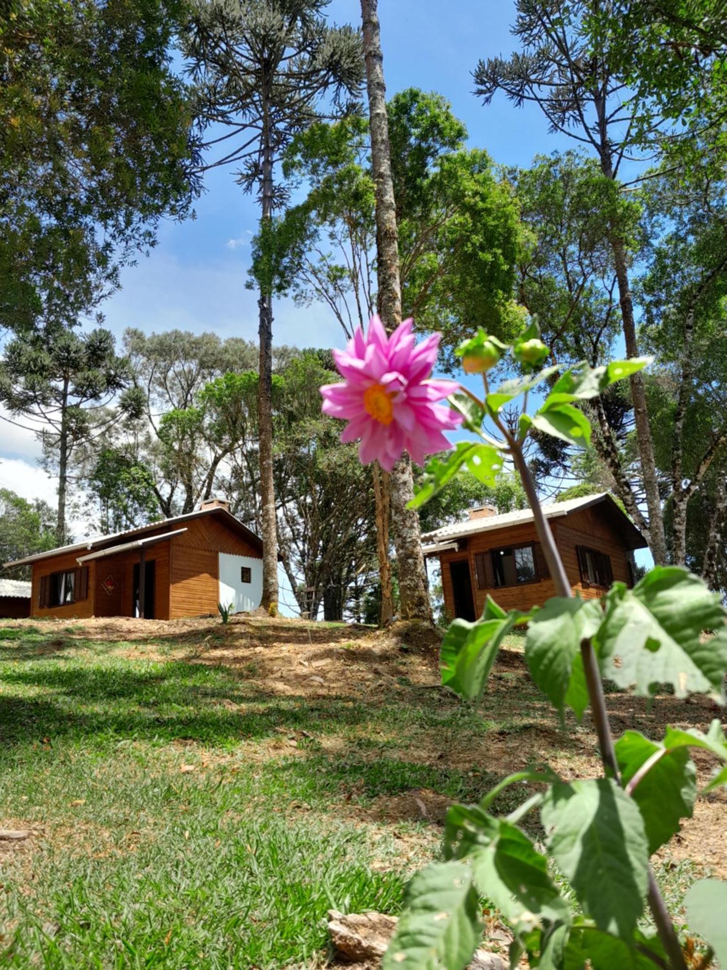 Cabanas Dos Pinheiros เซาฟรานซิสโก จิ เปาลา ห้อง รูปภาพ